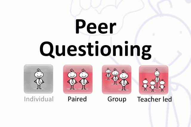 Peer Questioning
