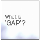 what-is-gap